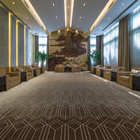 Wool And Nylon Woven Axminster Carpet For Lobby Wall To Wall