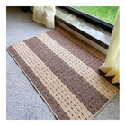 Simple Modern Indoor Outdoor Mat Washable Indoor Mat  20 X 30 Inch For Entrance